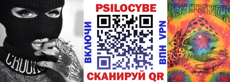 купить наркотик  Чудово  Псилоцибиновые грибы MAGIC MUSHROOMS 